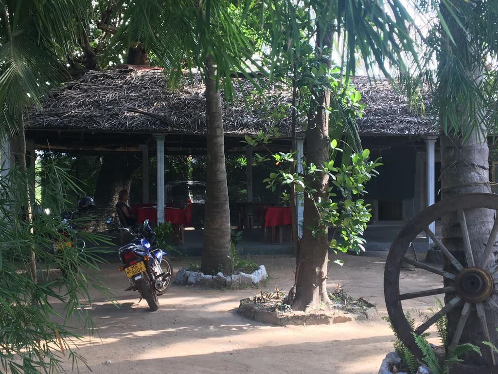 Coconut Park Bed and Breakfast Anuradhapura Zewnętrze zdjęcie