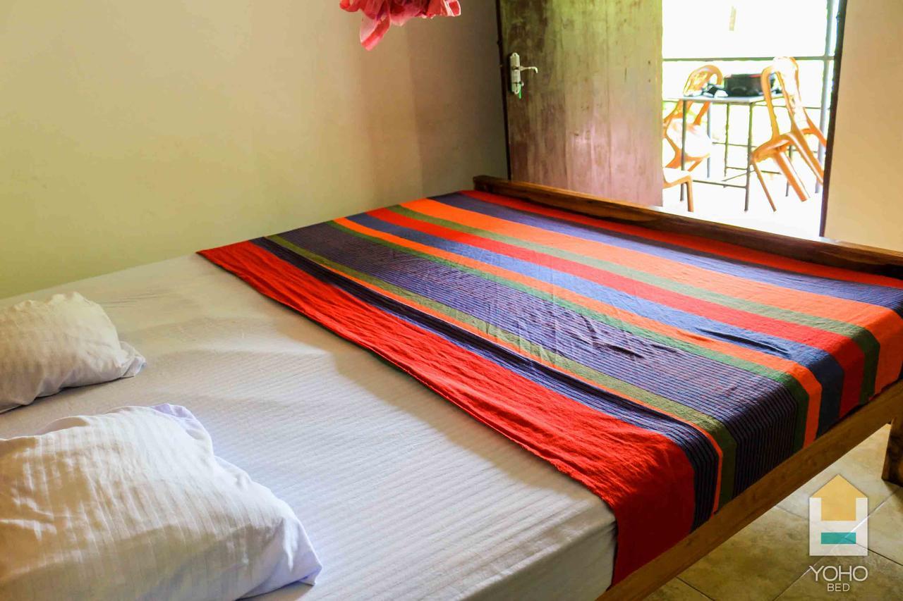 Coconut Park Bed and Breakfast Anuradhapura Zewnętrze zdjęcie